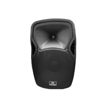 רמקול מוגבר מקצועי ואיכותי בידורית " 15עם סוללה נטענת PROTECH